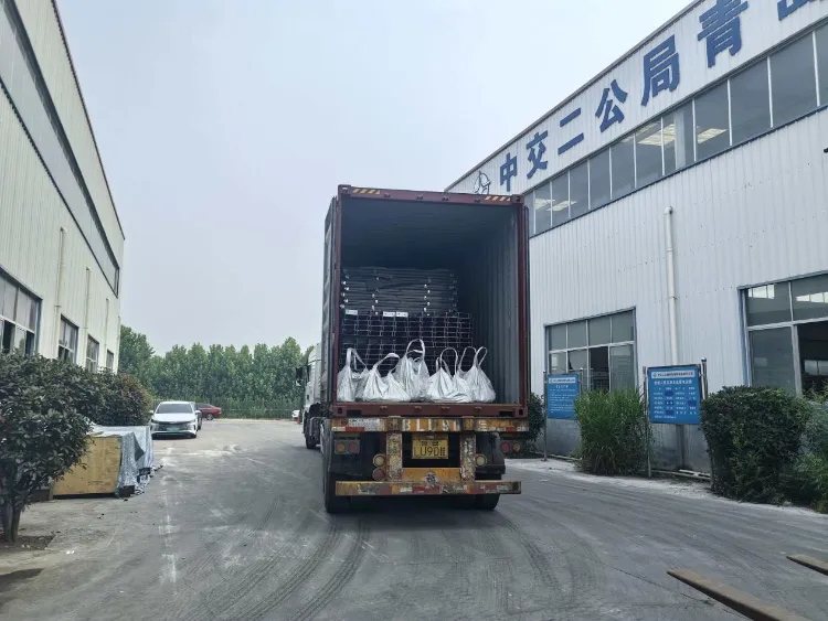 Estrutura de aço Qingdao Liweiyuan fornece componentes de aço personalizados para fazendas pesqueiras para cliente islandês